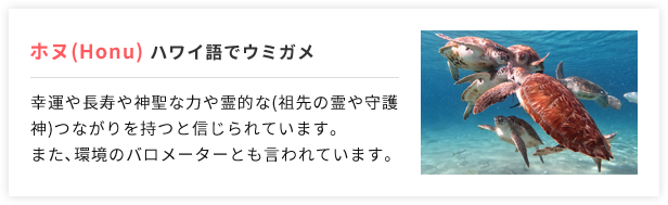 ホヌ(Honu):ハワイ語でウミガメ